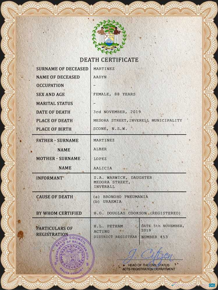 Download Belize death certificate PSD template Photoshop template